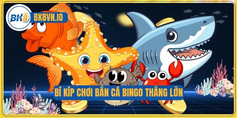 Bí kíp chơi Bắn cá Bingo thắng lớn 