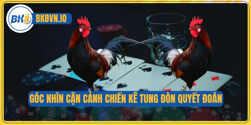 Góc nhìn cận cảnh chiến kê tung đòn quyết đoán