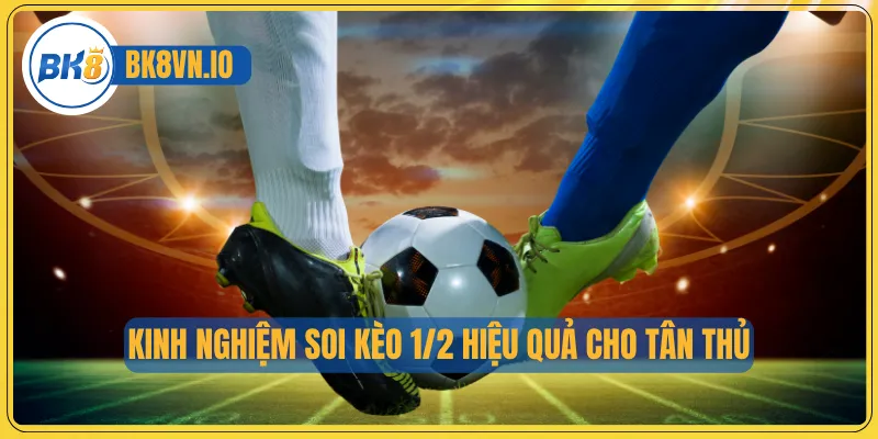 Kinh nghiệm soi kèo 1/2 hiệu quả cho tân thủ