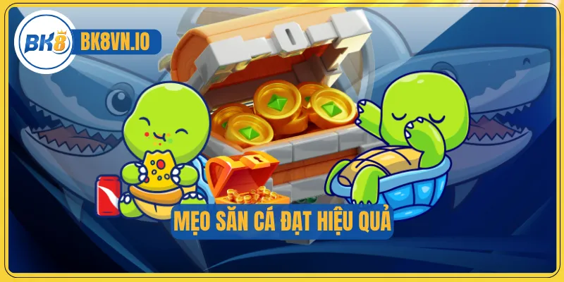 Mẹo săn cá đạt hiệu quả