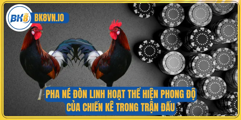 Pha né đòn linh hoạt thể hiện phong độ của chiến kê trong trận đấu