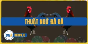 Thuật Ngữ Đá Gà